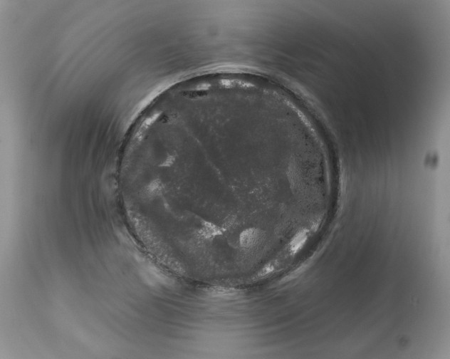 X0000113581170200910091455