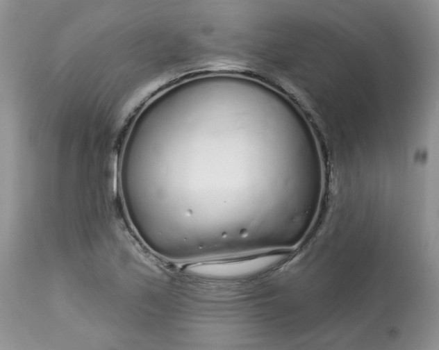 X0000113581171200910091455