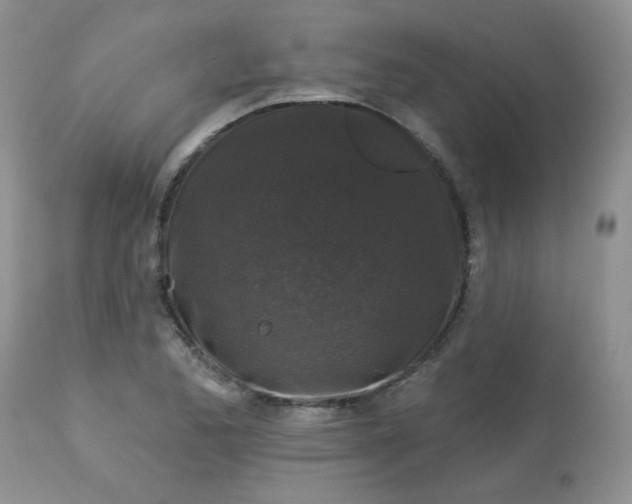 X0000113581173200910091455