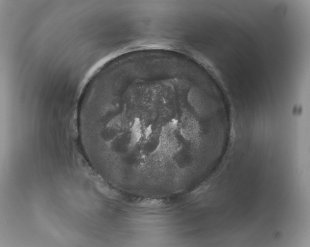 X0000113581174200910091455