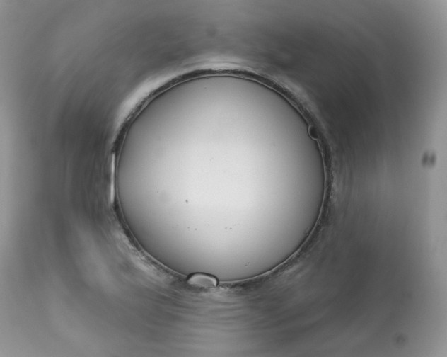 X0000113581175200910091455