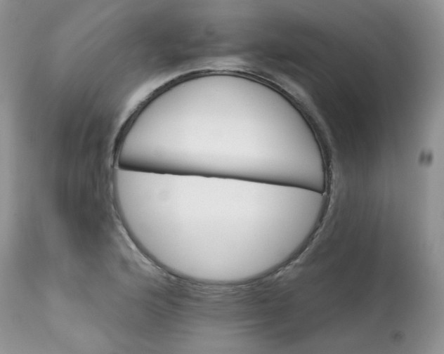 X0000113581176200910091455