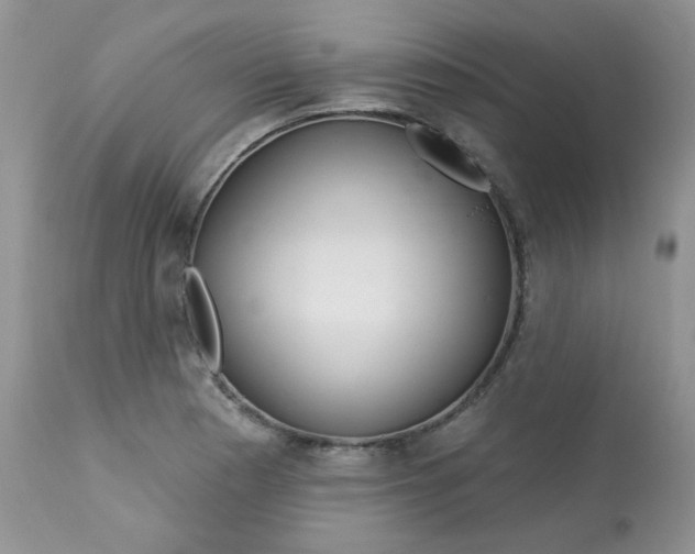 X0000113581177200910091455