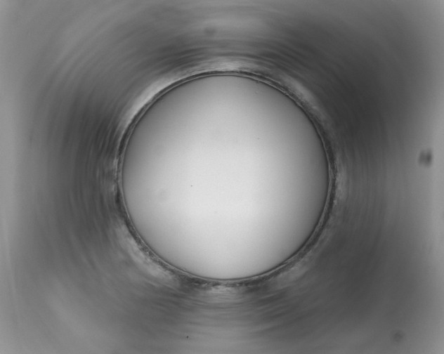 X0000113581178200910091455