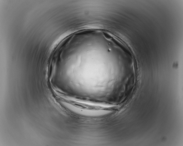 X0000113581179200910091455