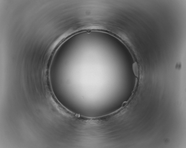 X0000113581181200910091455