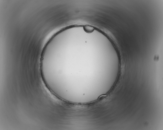 X0000113581183200910091455