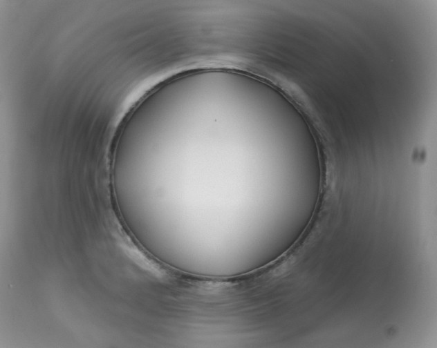 X0000113581184200910091455