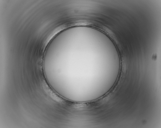 X0000113581186200910091455