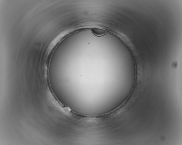 X0000113581188200910091455