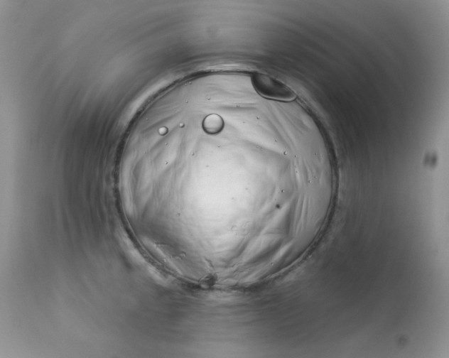 X0000113581189200910091455