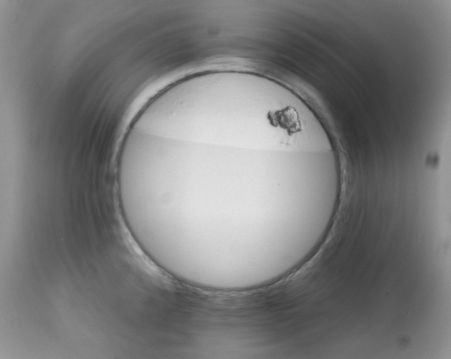 X0000113581192200910091455