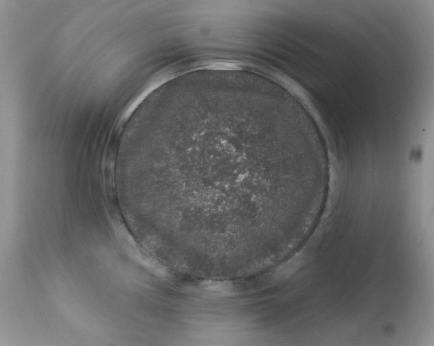 X0000113581194200910091455