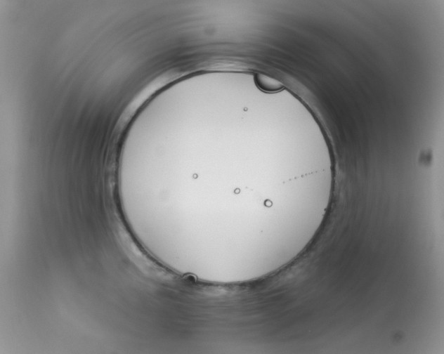 X0000113581195200910091455