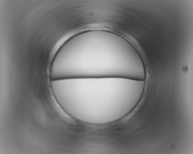 X0000113581196200910091455