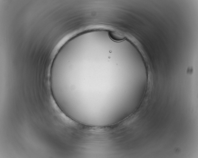 X0000113581199200910091455