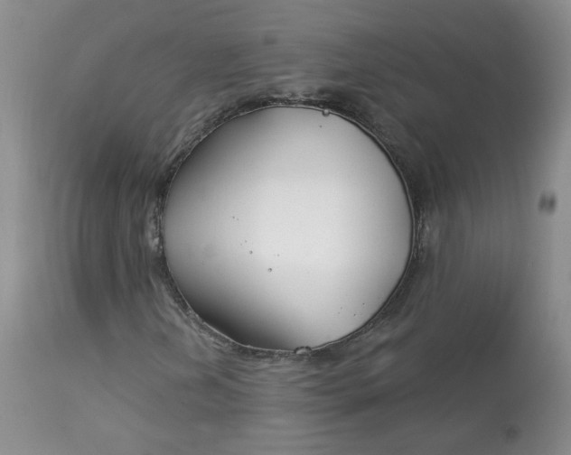 X0000113581202200910091454