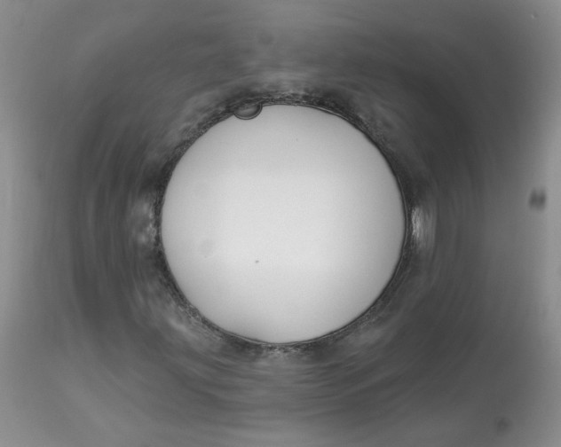 X0000113581203200910091454