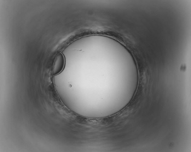 X0000113581205200910091454