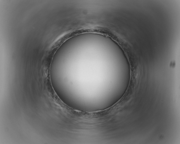 X0000113581206200910091454