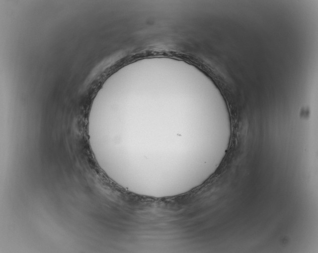 X0000113581207200910091454