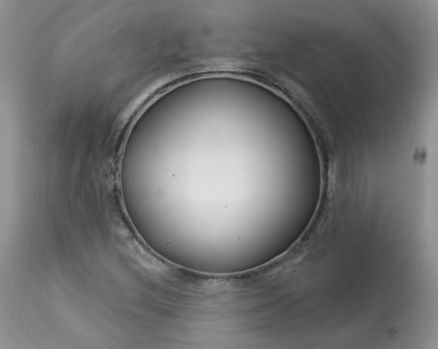 X0000113581212200910091454