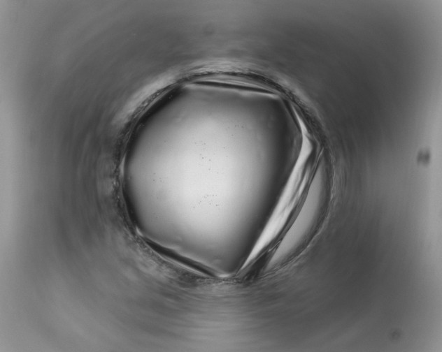 X0000113581213200910091454