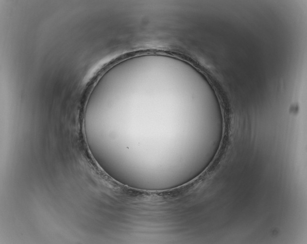 X0000113581214200910091454