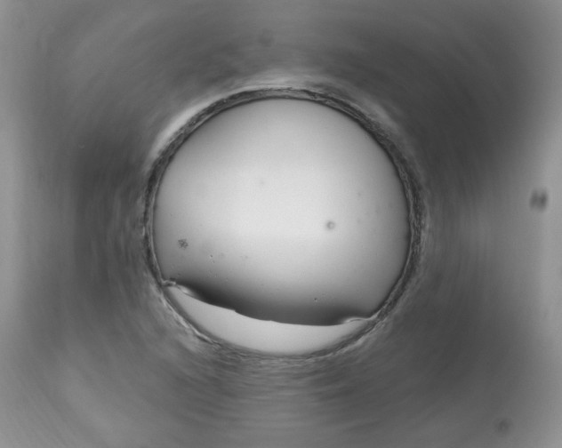 X0000113581216200910091454