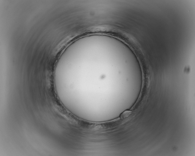 X0000113581217200910091454