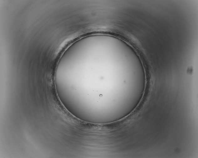 X0000113581218200910091454