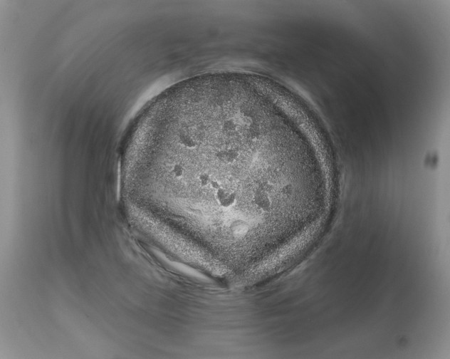 X0000113581219200910091454