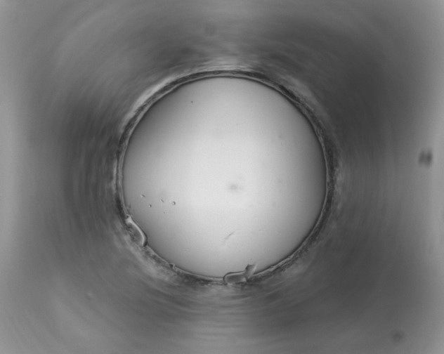 X0000113581220200910091454