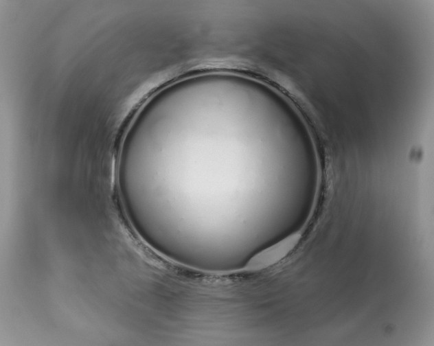 X0000113581221200910091454