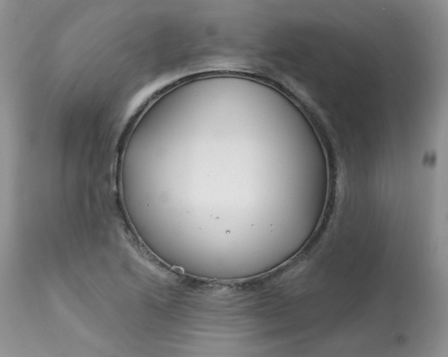 X0000113581222200910091454