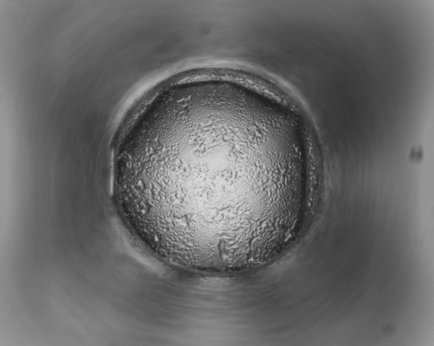 X0000113581223200910091454