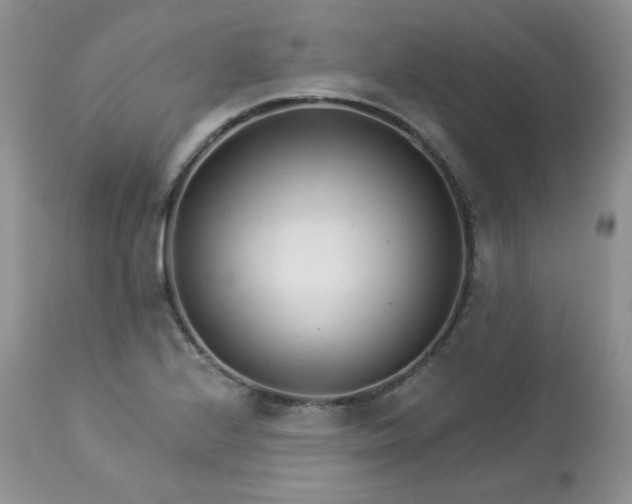 X0000113581224200910091454