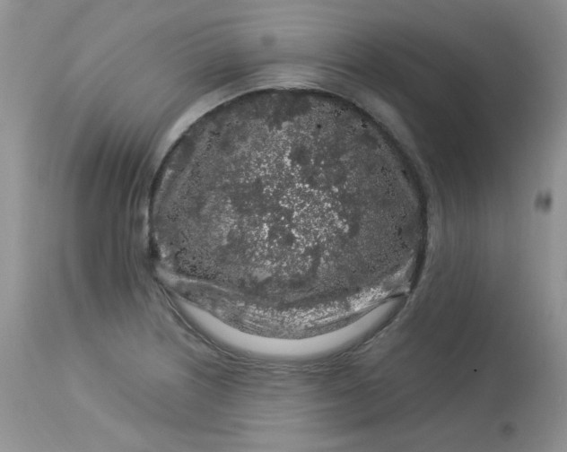 X0000113581226200910091454