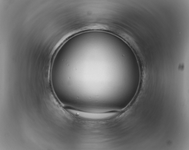 X0000113581228200910091454