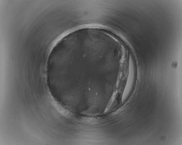 X0000113581229200910091454