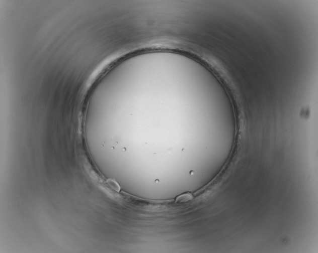 X0000113581232200910091454