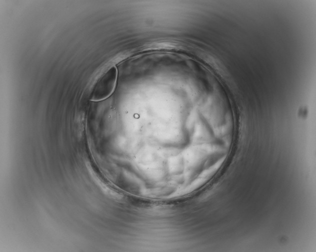 X0000113581233200910091454