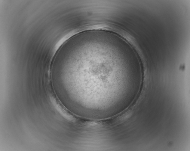 X0000113581234200910091454