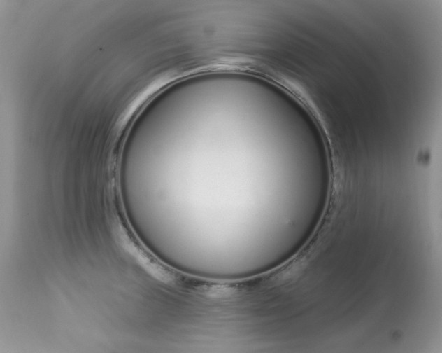 X0000113581235200910091454