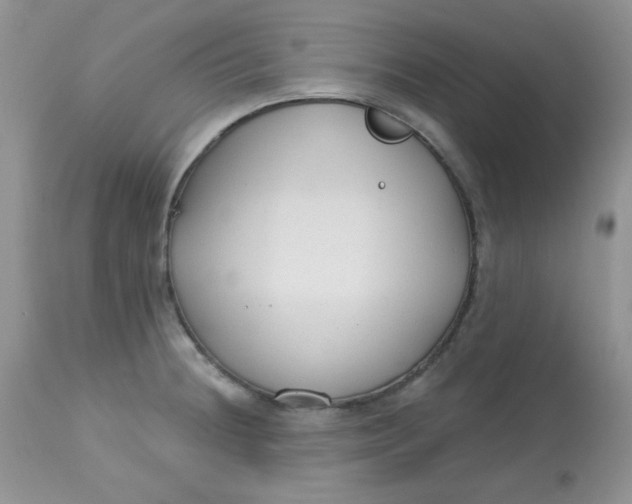 X0000113581236200910091455