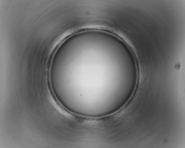 X0000113581237200910091455