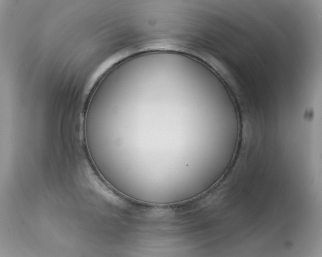 X0000113581238200910091455