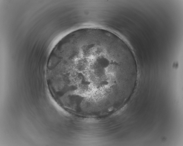 X0000113581239200910091455