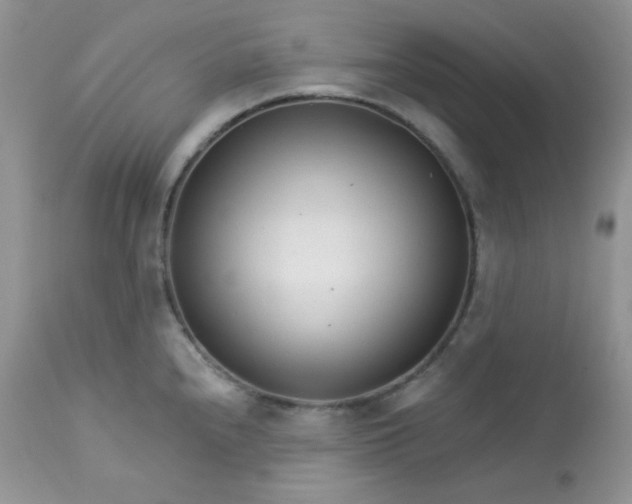 X0000113581240200910091455