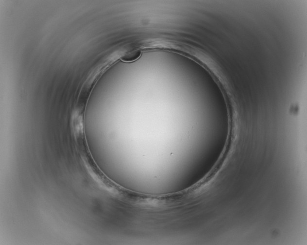 X0000113581241200910091455